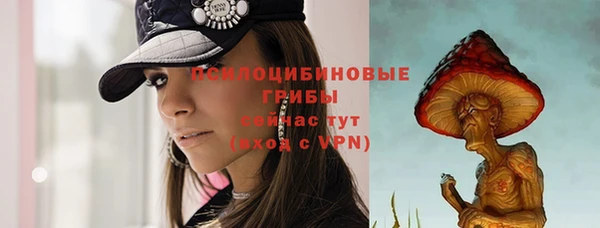 твердый Зеленокумск