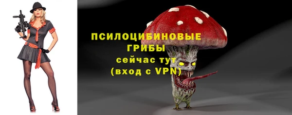 твердый Зеленокумск