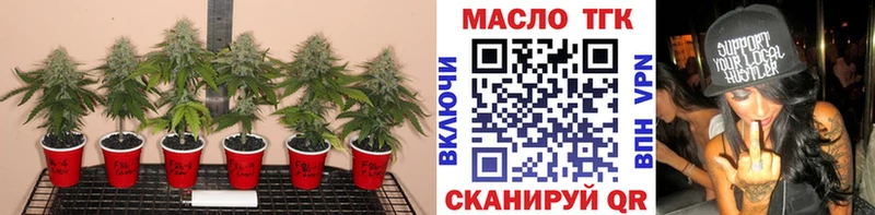 ТГК вейп с тгк  Купить закладки  Елизово 