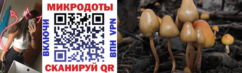 Псилоцибиновые грибы ЛСД  Купить где  Елизово 